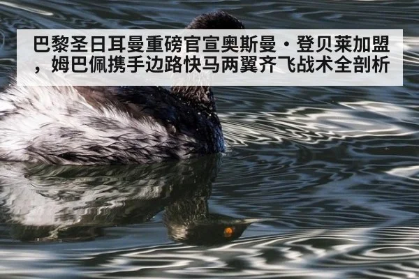 巴黎圣日耳曼重磅官宣奥斯曼·登贝莱加盟，姆巴佩携手边路快马两翼齐飞战术全剖析